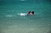 Filename=DSC_4531.JPG
Filesize=2655KB
Dimensions=3872x2592
Date added=Sep 03, 2012 DSC_4531.JPG