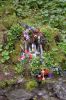 Filename=DSC_7862.JPG
Filesize=8780KB
Dimensions=3264x4928
Date added=Jul 29, 2014 DSC_7862.JPG